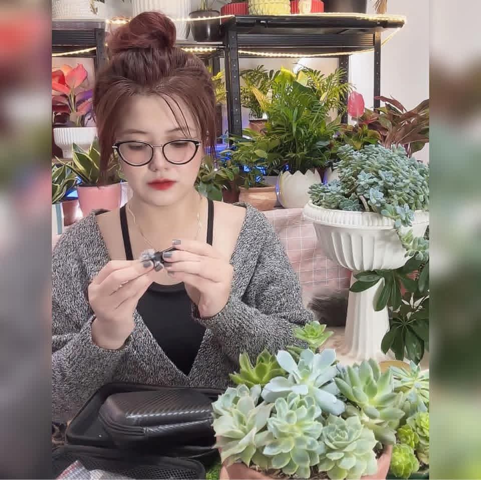 Đinh thái hoàng