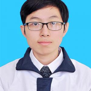Trần Đình Hoàng Anh