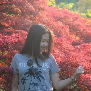 Hong Anh