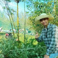 Tạ Mạnh Hoàng