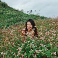 Đinh Thu Trang