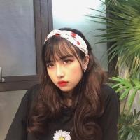 Vũ Việt Linh